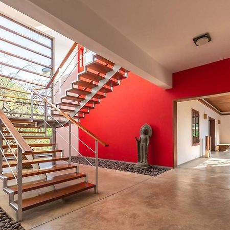 Jay House By Stayvista - Leisure Oasis With Pool, Snooker, Table Tennis & Foosball Fun آليباغ المظهر الخارجي الصورة